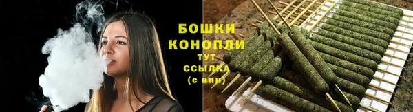 стаф Беломорск