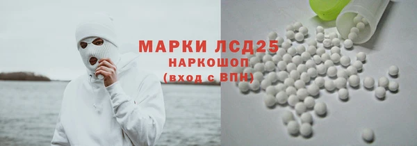PSILOCYBIN Новозыбков