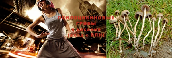 круглые Белокуриха