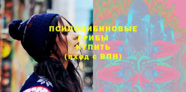 эйфоретик Богданович
