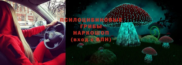 эйфоретик Богданович